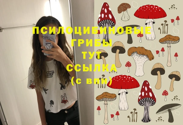 синтетический гашиш Нязепетровск