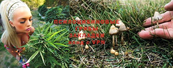 MESCALINE Новодвинск