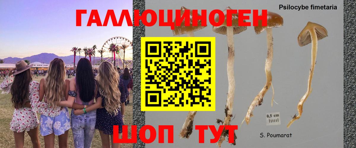 Галлюциногенные грибы мицелий Краснознаменск