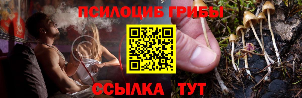 Галлюциногенные грибы Magic Shrooms  Вход с VPN  Краснознаменск 