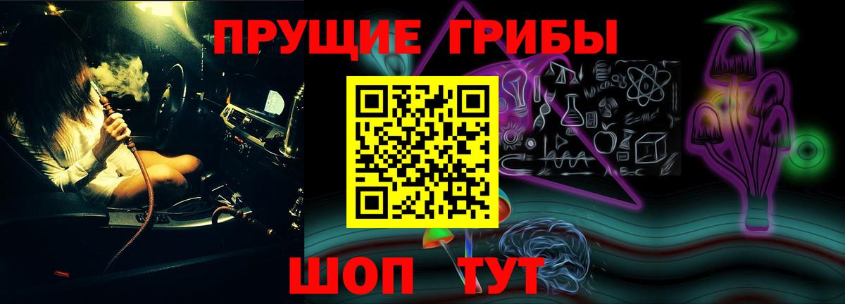 Галлюциногенные грибы Psilocybine cubensis  Краснознаменск 