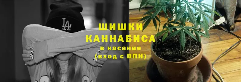 Бошки марихуана Bruce Banner  Краснознаменск 